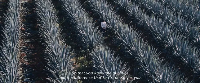 Tequila La Gritona