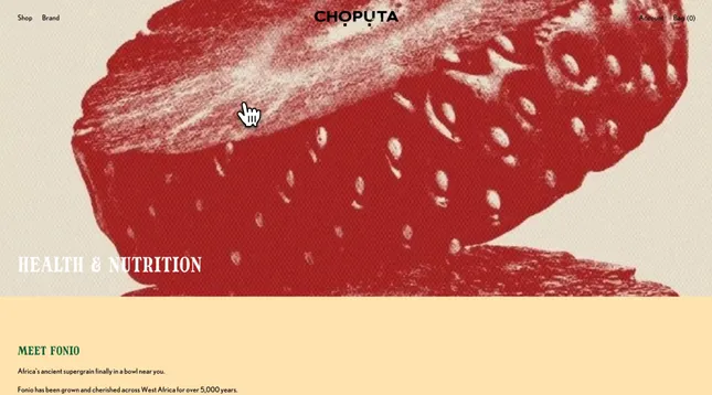 Project image