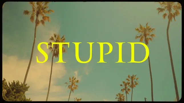 Steve Conwai - Stupid