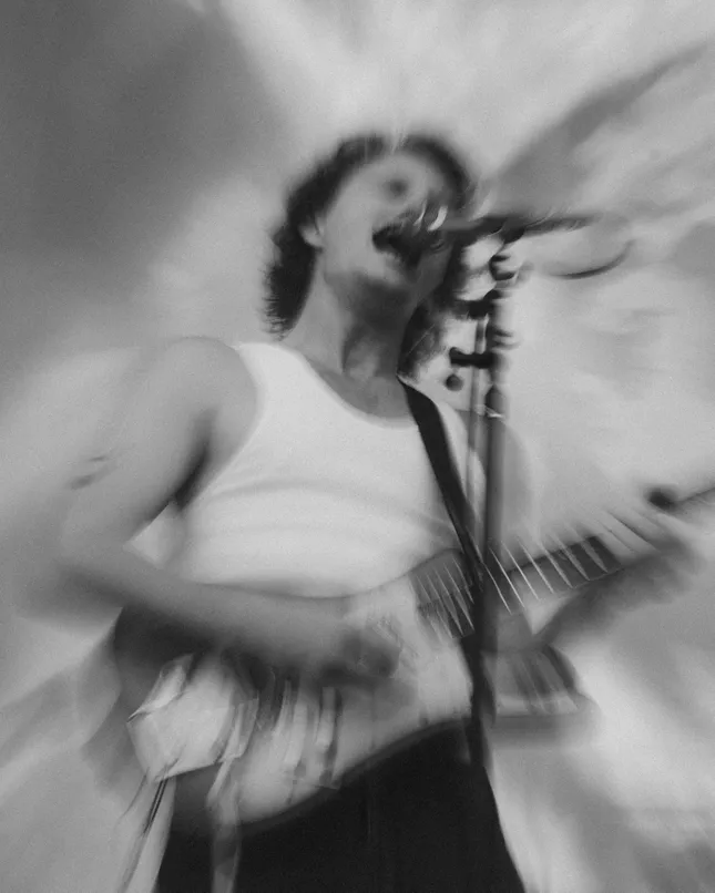 Two nights with King Gizzard, Forest Hills Stadium.