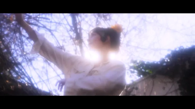 MUSIC VIDEOS - VARIOUS