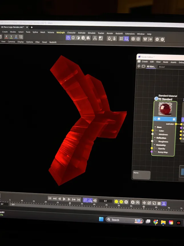 Project image