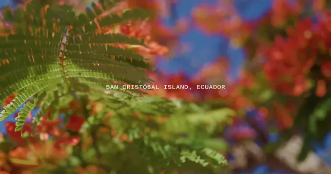 Thermal Travel: Galapagos